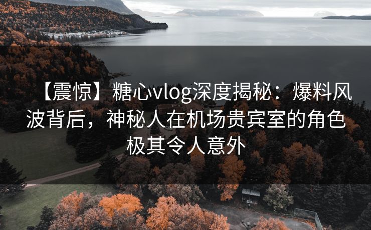 【震惊】糖心vlog深度揭秘：爆料风波背后，神秘人在机场贵宾室的角色极其令人意外